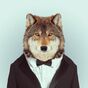 lupuletic