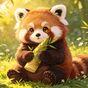 xydt-tanshanshan